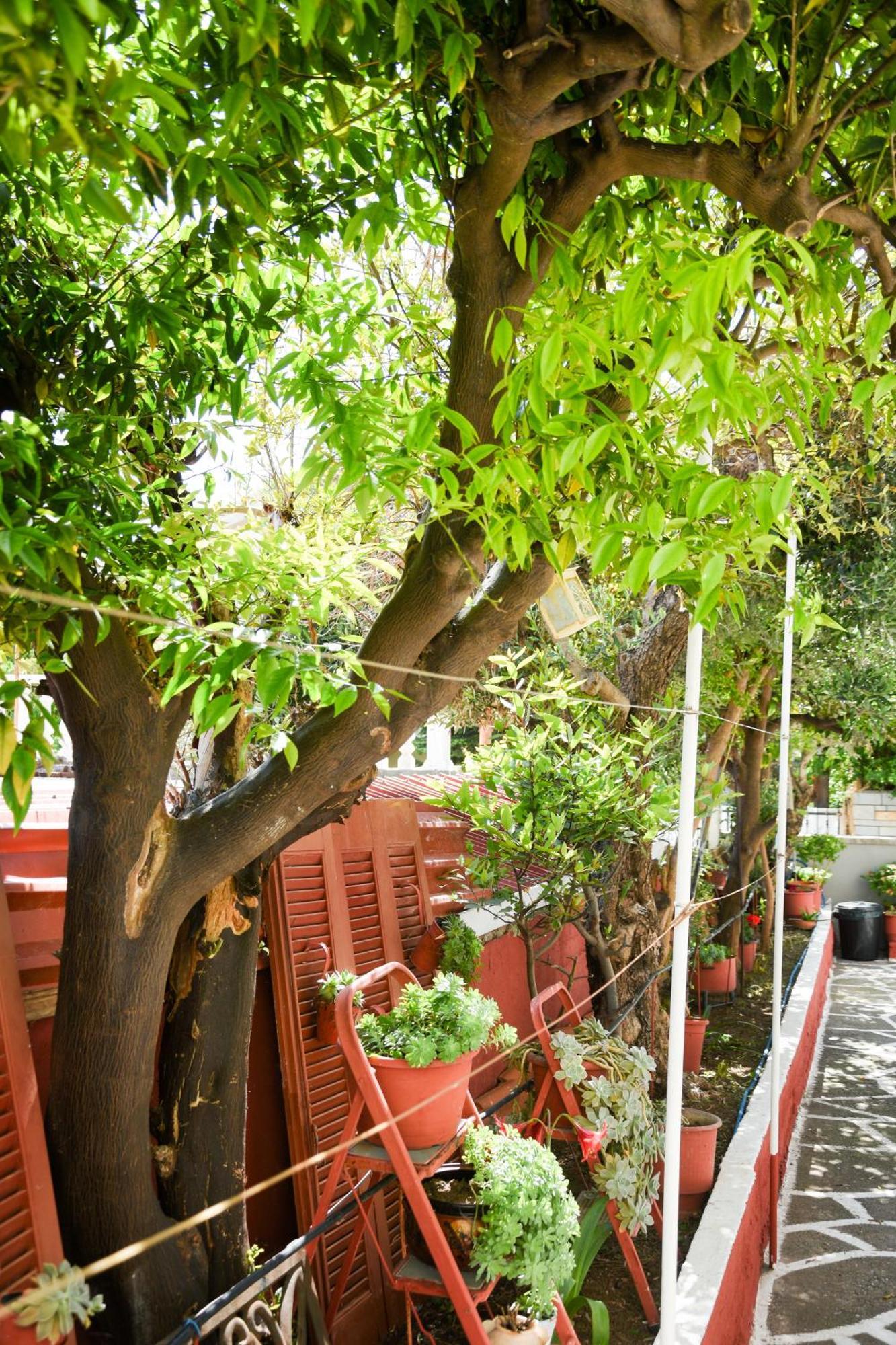 شقة Rent House Daphne كافالا المظهر الخارجي الصورة