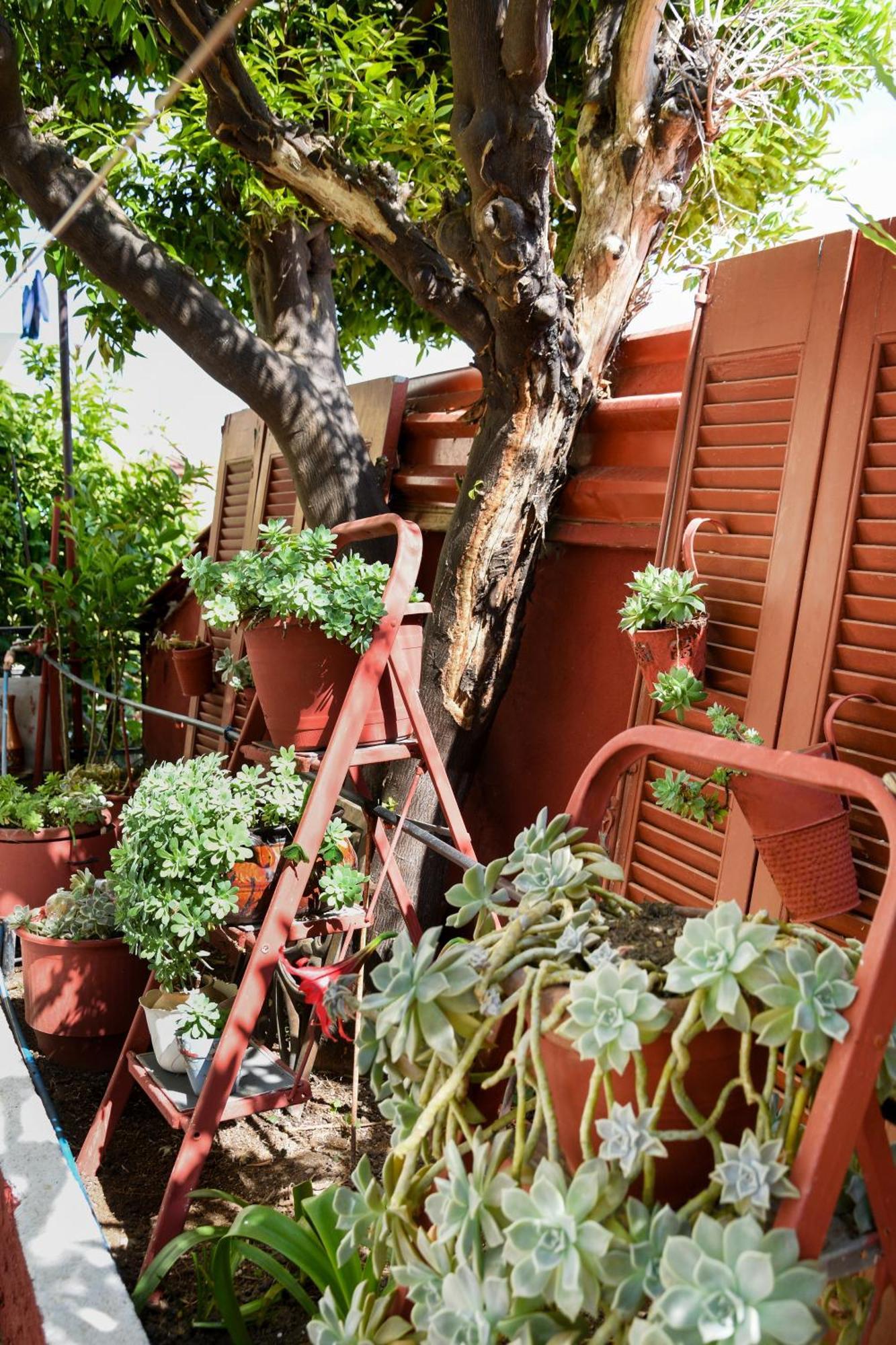 شقة Rent House Daphne كافالا المظهر الخارجي الصورة